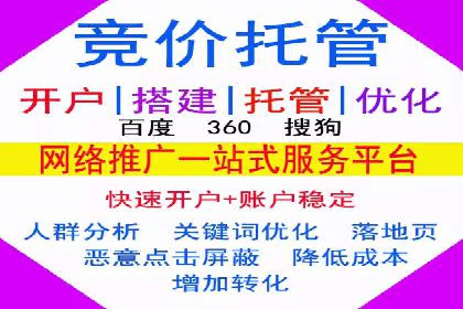 百度推广成功案例分析